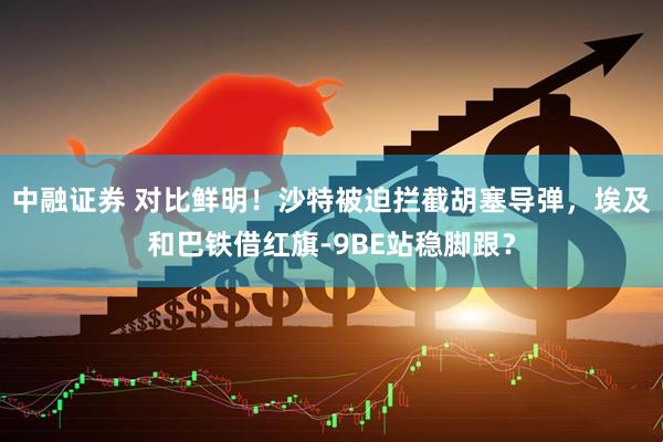 中融证券 对比鲜明！沙特被迫拦截胡塞导弹，埃及和巴铁借红旗-9BE站稳脚跟？